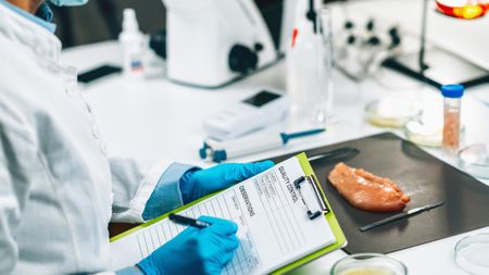 After heartbreaking losses, calls intensify for a unified food safety agency in South Africa