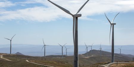 Renewable energy projects may keep the lights on longer in 2024 — we hope