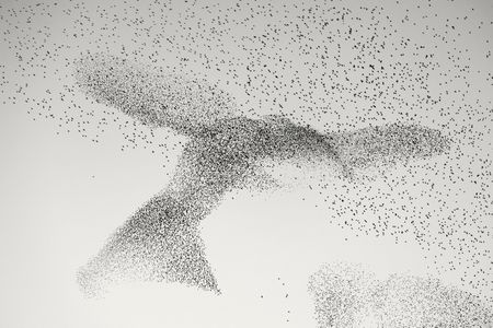 Untamed talent — take your pic(k) in the Wildlife Photographer of the Year awards