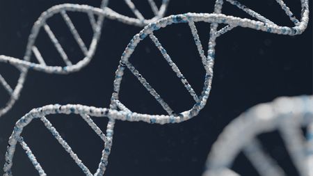 Epigenetic regulation - how to switch on good genes and switch off bad ones