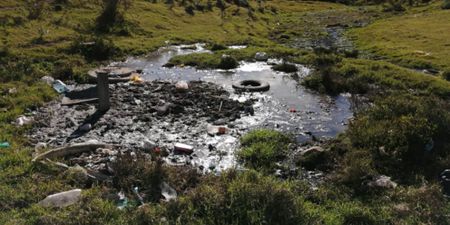 Makhanda residents ask court to help solve ‘sewage hell’
