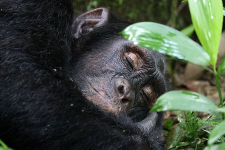 Uganda – a place of paradoxes