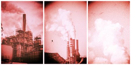 Climate crisis is the biggest long-term threat facing humanity, World Economic Forum warns