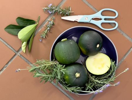 In praise of the gem of vegetables
