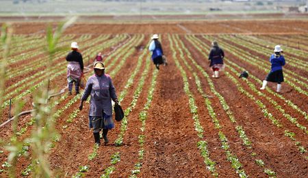 Association for Rural Advancement: Tenants should become neighbours