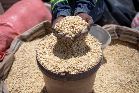 Africa’s traditional fermented foods – and why we should keep consuming them