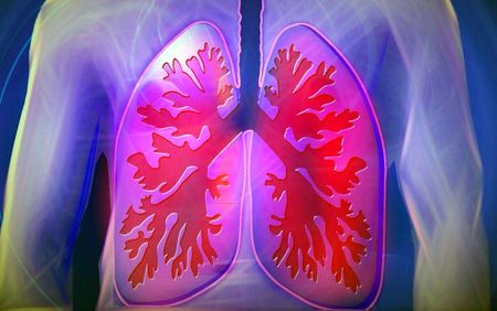 How lung tissue donations in KZN are helping to boost our understanding of TB
