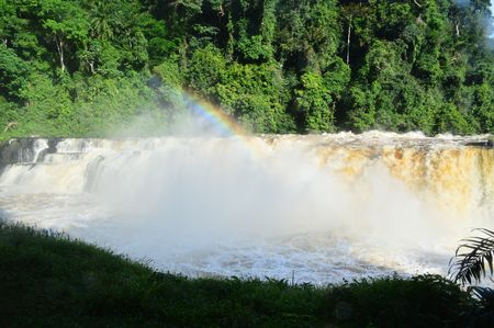 László Magyar: A perilous trip exploring the Congo River