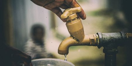 Clearing thirsty alien vegetation set to bring cheapest solution to Cape Town’s water crisis
