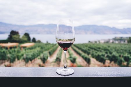 Five ways not to be a Wine Wanker