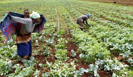 Land ownership in South Africa — the facts and figures, and figuring out the facts