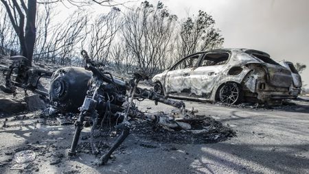Latest wildfire highlights complexity of managing fynbos in the Table Mountain National Park