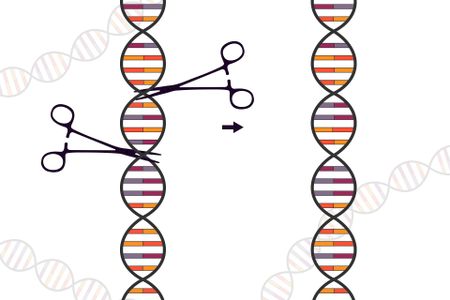 This week we're listening to: Biotechnology’s potential and how it is already changing the world