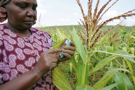 M-Pesa arrives in SA, hoping to repeat its Kenyan success