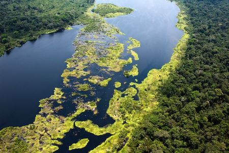 To avert climate catastrophe we need science without borders and radical collaboration