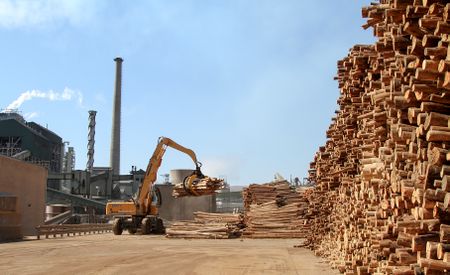 Sappi share price sinks as exports of key pulp products to China threatened by Trump's trade wars