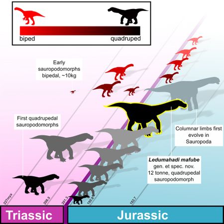 Remains of massive dinosaur skeleton unearthed in Portugal