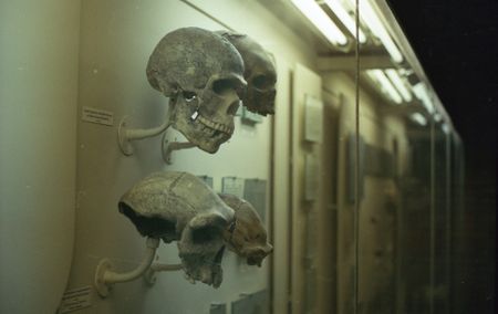 Old age isn’t a modern phenomenon – many people lived long enough to grow old in the olden days, too