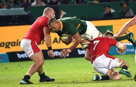 Expect the Boks and visiting Portugal to serve up a dish of panache and skill in Bloemfontein