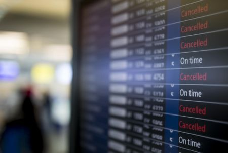 Austrian arrested at Paris airport with 80 birds in hand luggage