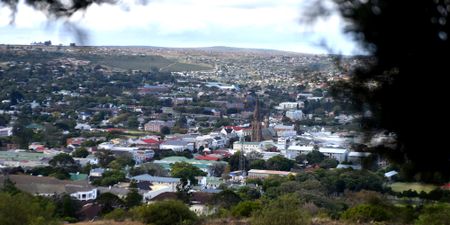 Why I fled Makhanda — fired Cogta’s Mr Fixit says his life was threatened