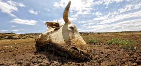 Three reasons why South Africa should pass its Climate Change Bill