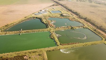 Causes of fish die-off and stench at Jeffreys Bay’s Seekoei Estuary still a mystery