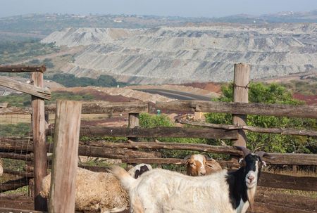 When mining defeats farming, the people lose their food