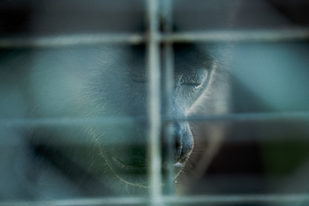 Sony World Photography Awards 2025 Finalists Environment and Landscape