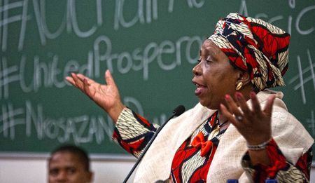 ANCYL: Purr, young lions, purr