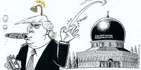 Palestine Trumped