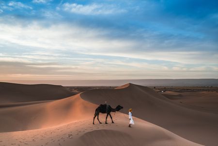 An introduction to the ungainly ship of the desert