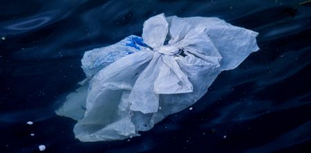 At last – Woolworths makes a move to rid South Africa of plastic shopping bags