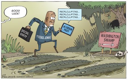 Mr Jonas goes to Washington