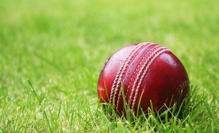 At the Wanderers, the Lions slept last night