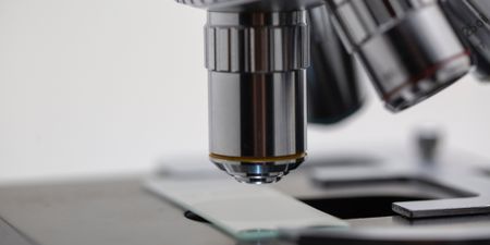 At 50, the SA Medical Research Council is helping redefine democracy