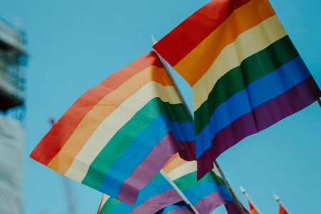 TikTok activism: how queer Zimbabweans use social media to show love and fight hate