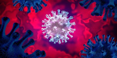 Department of Health confirms one case of Covid Eris variant in Gauteng