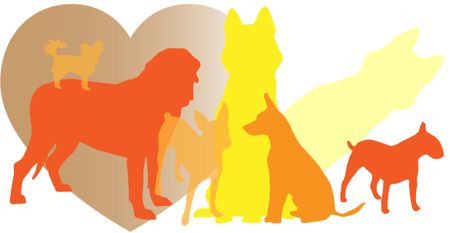 An ode to my dog