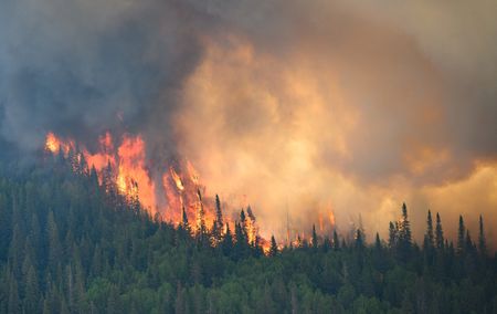 Red alerts issued as wildfires in Greece force thousands to flee, blazes continue in Italy, Spain, Switzerland