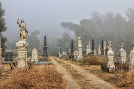 A Karoo Graveyard: Thoughts, mist and memories