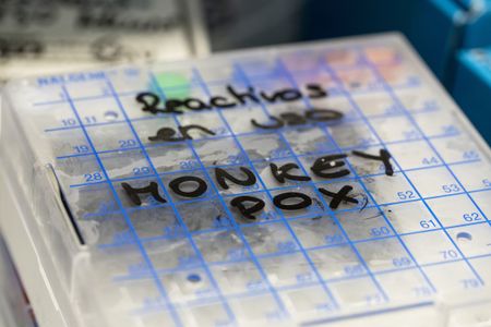 Monkeypox Reporting Requirement Stepped Up as UK Cases Rise