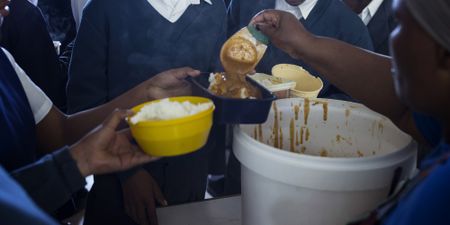 Probe into Eastern Cape school nutrition scheme funding delays that left more than a million learners hungry