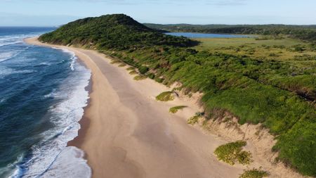 Maputo National Park — unspoilt paradise, just beyond South Africa’s border