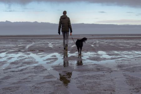 Crying Wolf: Lockdown’s dog-walking issue has deep roots, revealing South Africa divisions