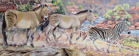 New discovery – fossilised giant zebra tracks found in South Africa