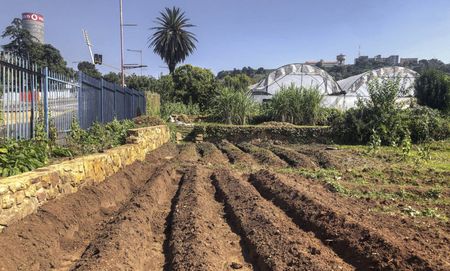 Activists stand together to feed the nation