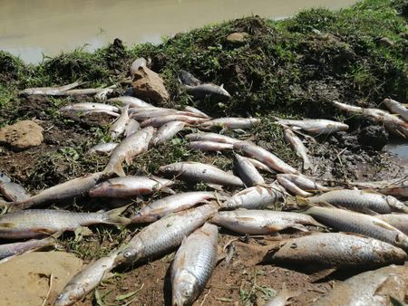 Disaster fund needed to clean KZN river spill