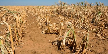 La Niña is over as SA’s southwest braces for an unseasonably dry winter