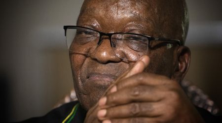 Jacob Zuma’s contempt of court appeal is an elaborate exercise in gaslighting masquerading as a rescission application